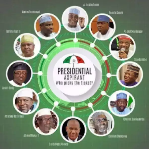 Meet The 12 PDP Presidential Aspirants, All From The North (Photos)